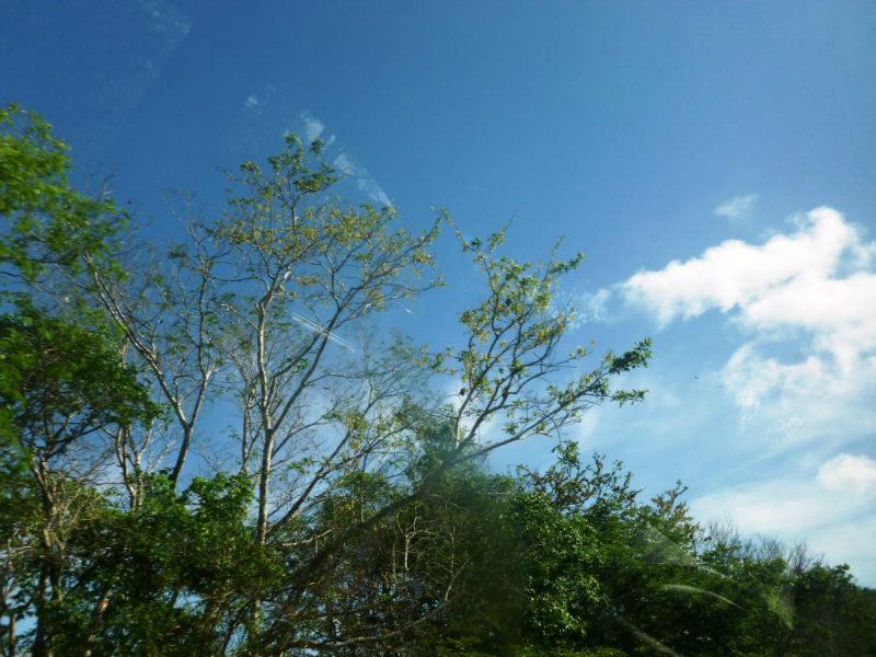 Posted Image